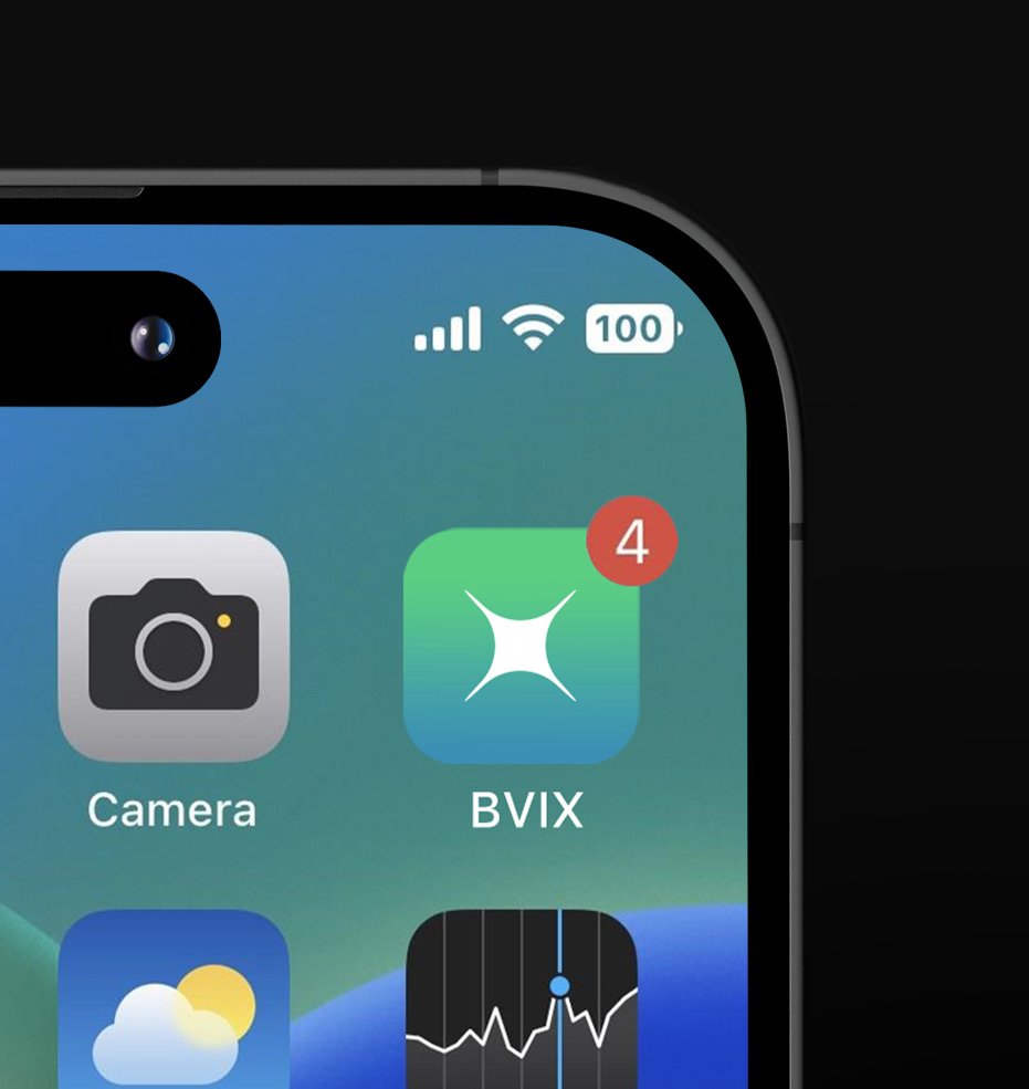 Ícone do aplicativo da BVIX na tela inicial do celular